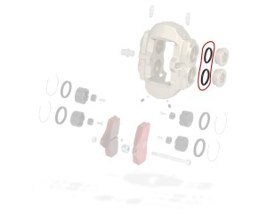 O-Ring BSS